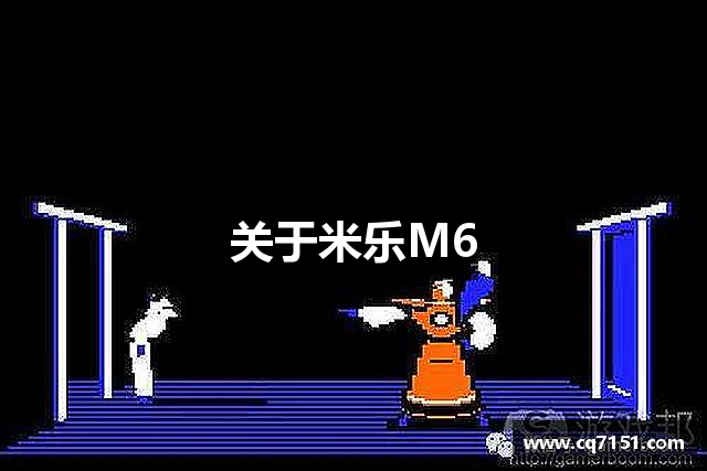 关于米乐M6
